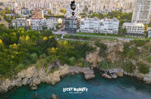 Lucky Monkey Hotel