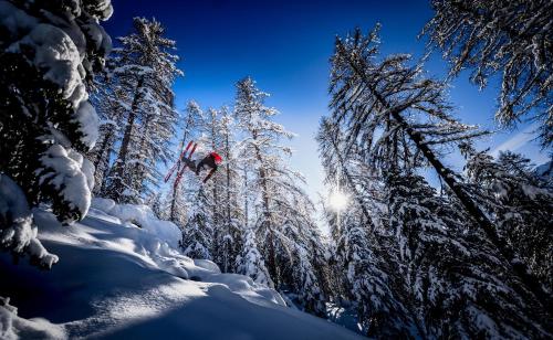 Le Petit Aupillon - L'Aupillon des Forêts - 2 studios cocooning aux Orres Le Petit Aupillon - L'Aupillon des Forêts - 2 studios cocooning aux Orres