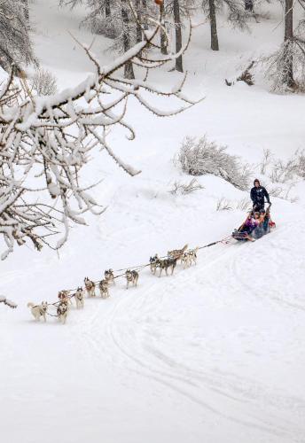 Le Petit Aupillon - L'Aupillon des Forêts - 2 studios cocooning aux Orres Le Petit Aupillon - L'Aupillon des Forêts - 2 studios cocooning aux Orres