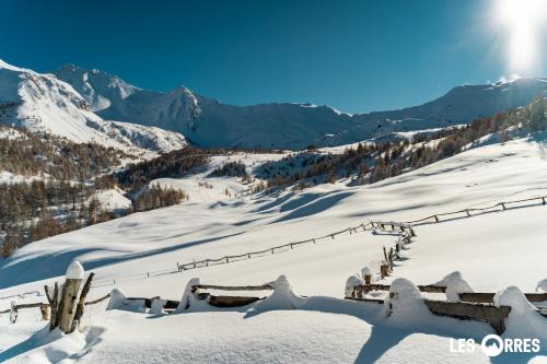 Le Petit Aupillon - L'Aupillon des Forêts - 2 studios cocooning aux Orres Le Petit Aupillon - L'Aupillon des Forêts - 2 studios cocooning aux Orres