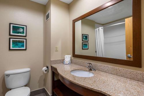 Comfort Inn & Suites Wildwood - The Villages