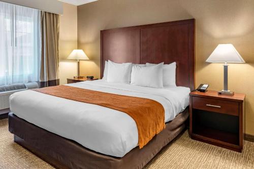 Comfort Suites Linn County Fairground And Expo