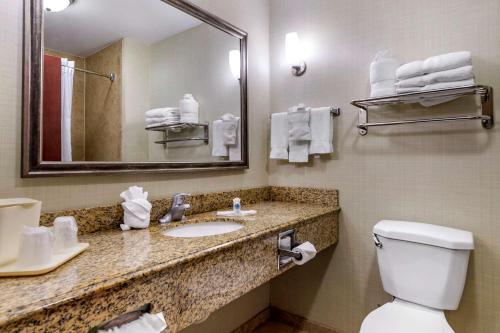 Comfort Suites Near Texas A&M Corpus Christi