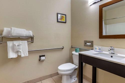 Comfort Inn Oklahoma City South - I-240