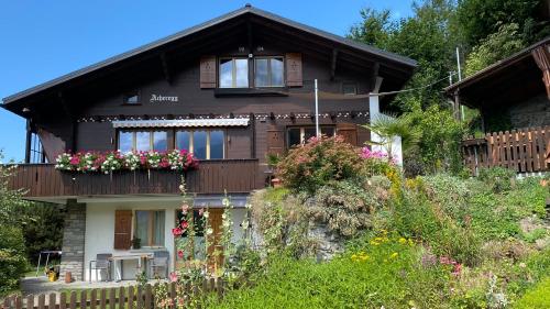 Chalet Acheregg - Apartment - Wengen