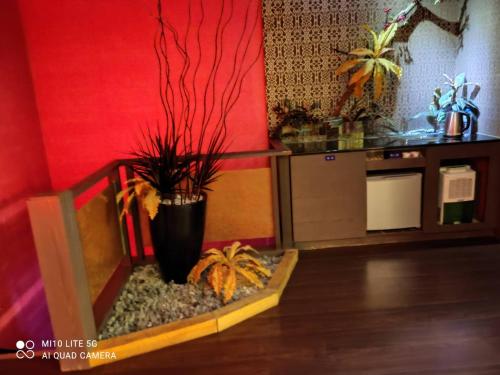 碧云天汽车旅馆(回龙馆) 碧云天汽车旅馆(回龙馆)