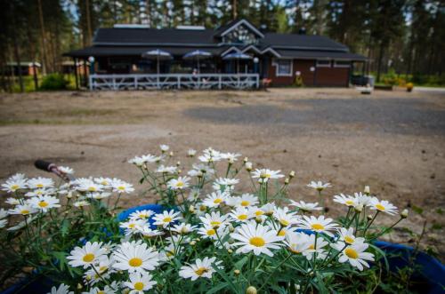 Ahvenlampi Camping - main image
