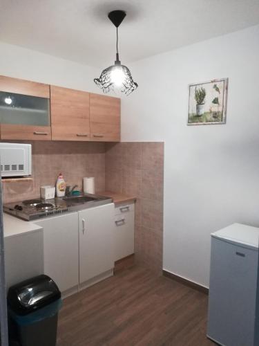 virtuve, Cinege Vendégház (Cinege Vendeghaz) in Tolksva