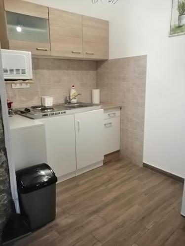 virtuve, Cinege Vendégház (Cinege Vendeghaz) in Tolksva