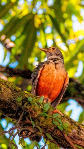 Pousada da Barra