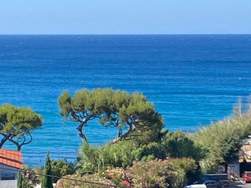 Face a la mer, Cassis et son Cap Canaille