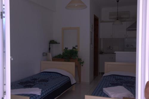 Angela Studios, Karfas (zdjęcie 2)