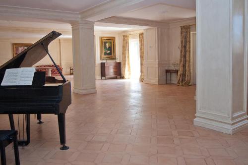 Villa Strampelli - image 11