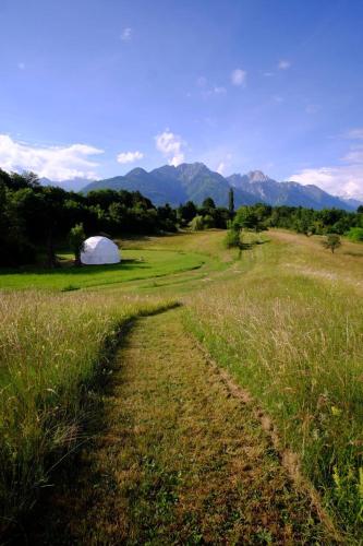 Surrounding environment, That's life Glamping - Dolomite Experience in Cesiomaggiore