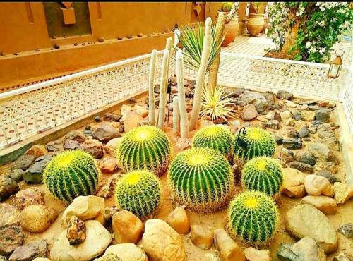 Riad Dar Sofian