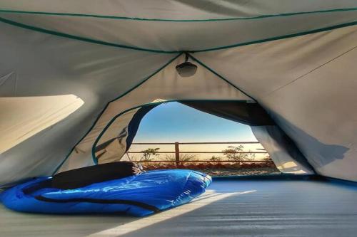 Odyssey's Blue Jay Camps