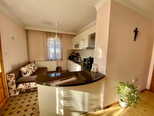 Guest House Detelina photo 3