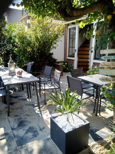 Coconut Beach apartments in Zandvoort