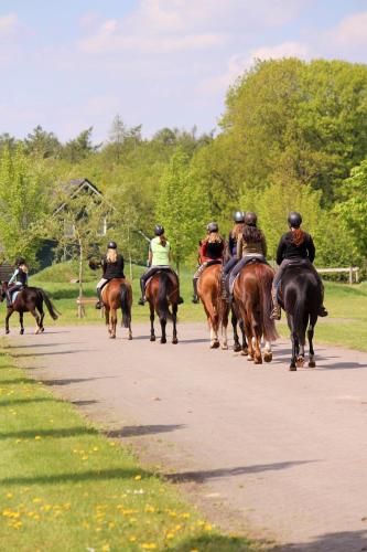 Horsetellerie Rheezerveen