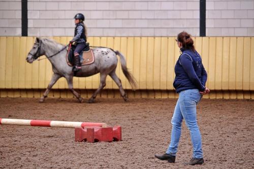 Horsetellerie Rheezerveen