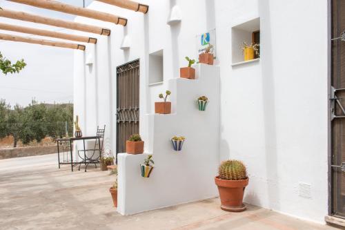 VILLA AURORA NÍJAR Parque Natural Cabo Gata