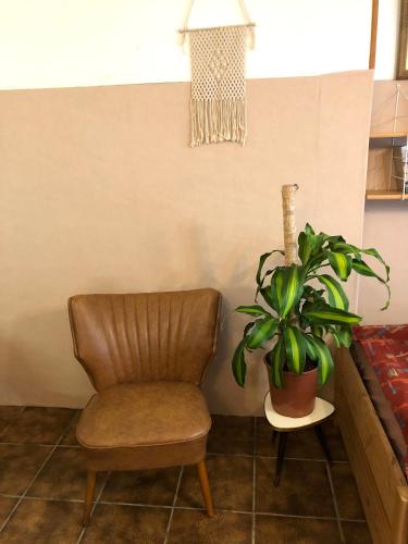 Apartment in Alf in 阿爾夫