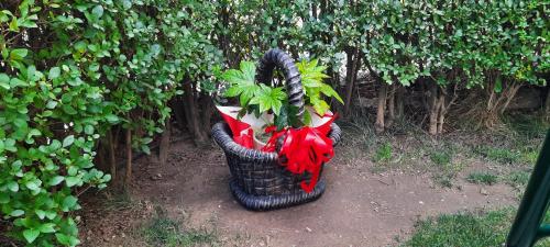 MARIANA - guest rooms