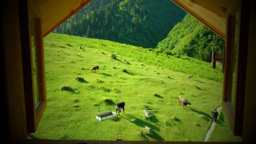 Oberj Hotel, Ayder Yaylasi bei Gito Yaylasi