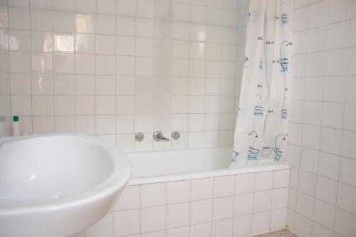 Albergue Santa Olaia