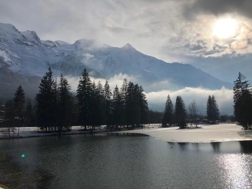Alpenrose Chamonix in Chamonix-Mont-Blanc