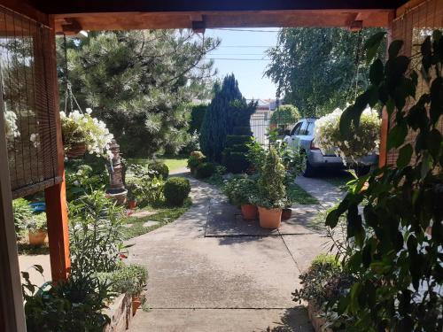 Natura Apartmant - image 6