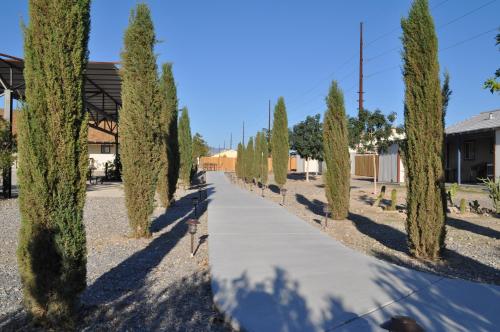 K7 Bed and Breakfast - image 6