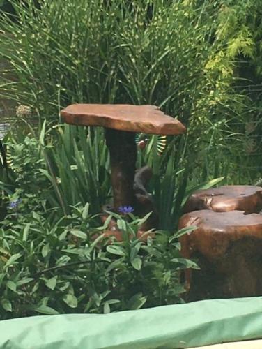 Bellevue de la Rive Gauche ajouter du vin! gîte à louer Coubeyrac