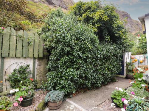 St Magnus Haven Fraserburgh - image 10