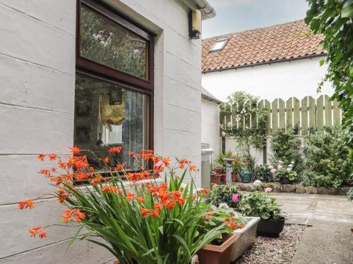 St Magnus Haven Fraserburgh - image 7