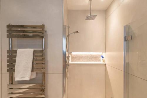 Superb Apartment near Buckingham Palace, Londýn (fotografie 7)