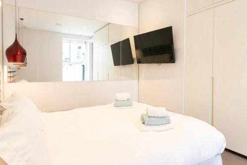 Superb Apartment near Buckingham Palace, Londýn (fotografie 10)