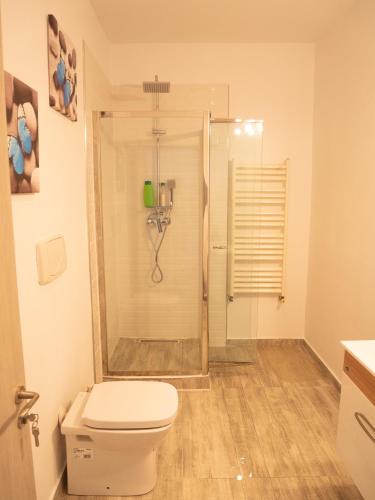 One-Bedroom Apartment image 6