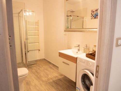 One-Bedroom Apartment image 5
