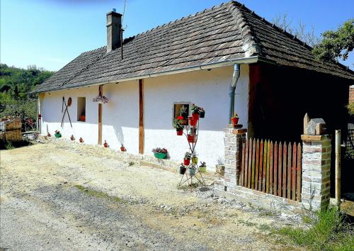 . Traditionelles Bauernhaus Flieder