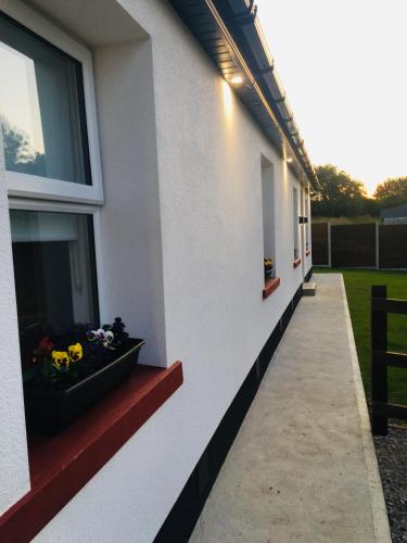 Entrada, Keanes Country Cottage in The Heart Of The West in Sligo City Center