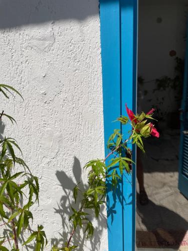 Il cortiletto B&B