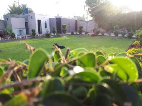 4 Kanal Farm House & 3 Bedrooms with free parking