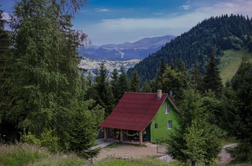 Căbănuța din Pădure - Accommodation - Borsa