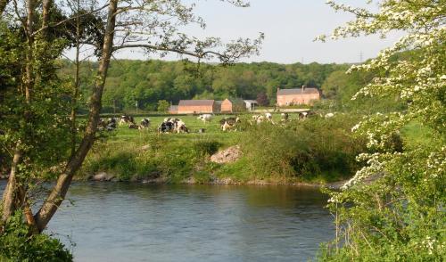 Bach Y Graig Farmhouse