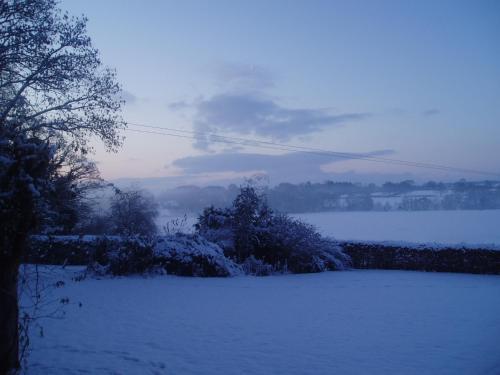 Bach Y Graig Farmhouse