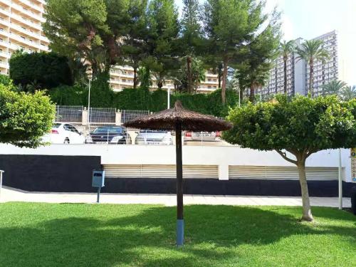 Holiday Apartment Benidorm Spain - image 4