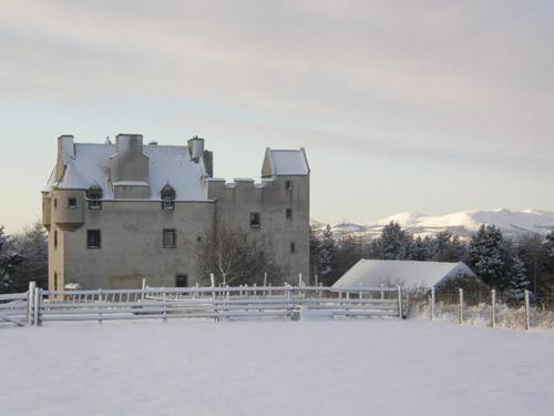 Вхід, Faside Estate in Масселбер