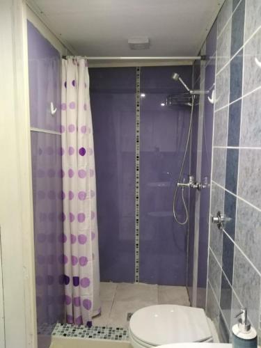 Villa Amelie Vasiliai Heraklion Crete - image 3