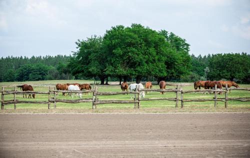 Walter Ranch